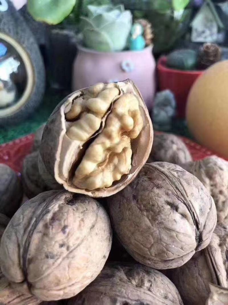 2021新货，新疆薄皮核桃，手捏即开！【精选核桃】