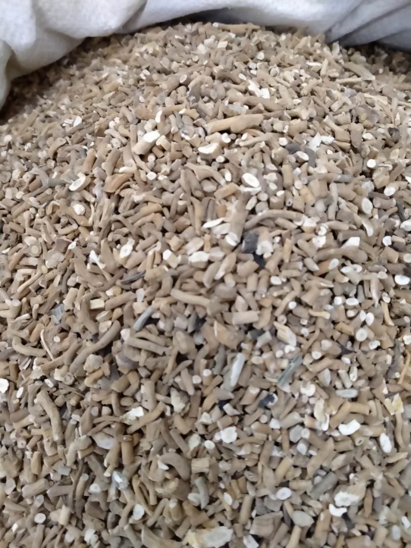 板兰根产地直发一手货源价格优！量大物流包邮！