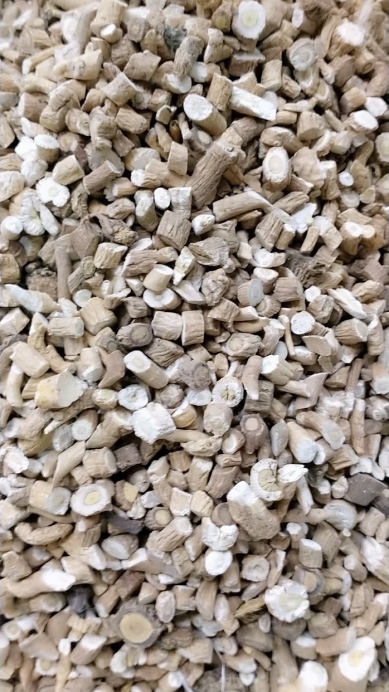 板兰根产地直发一手货源价格优！量大物流包邮！