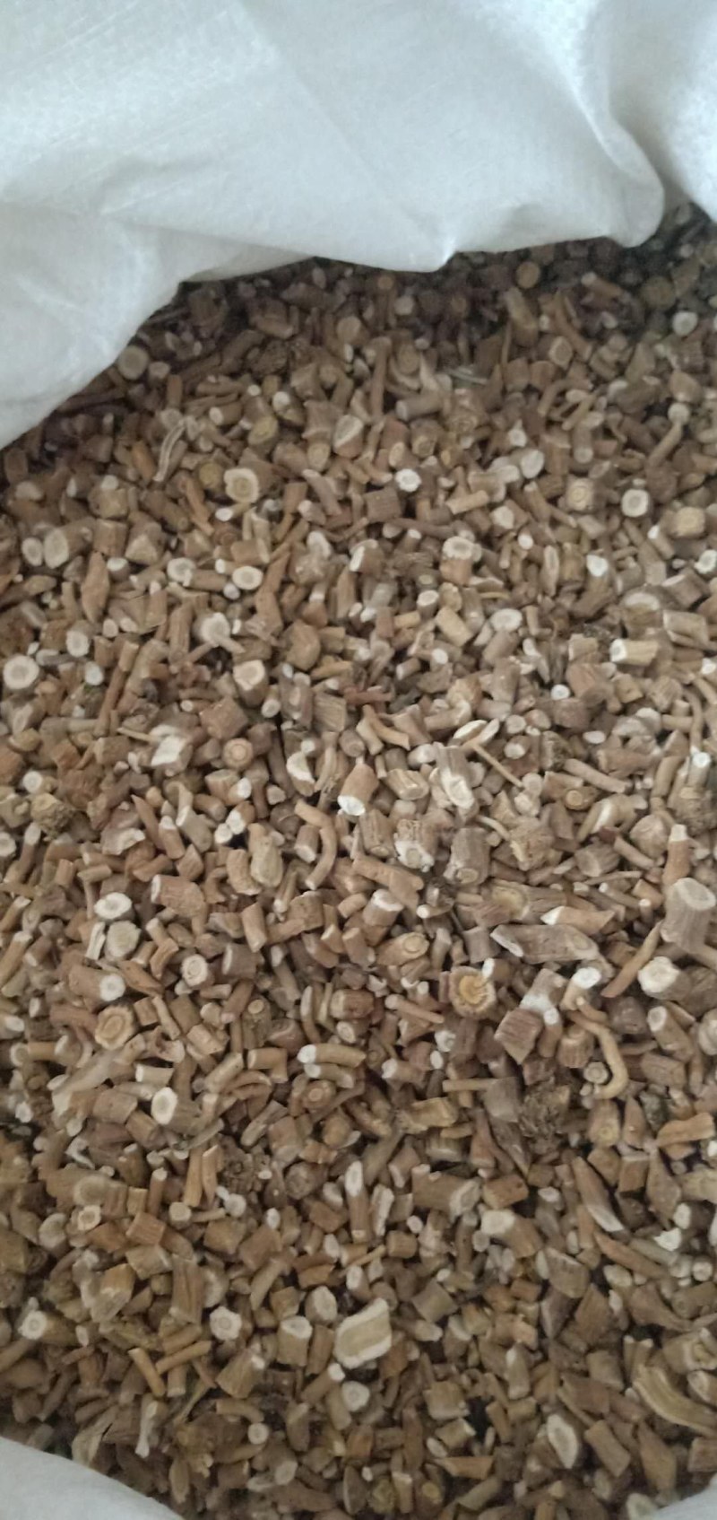 板兰根产地直发一手货源价格优！量大物流包邮！