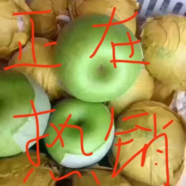 皇冠梨，套袋自然色，白皇冠梨产地直供，整车待发
