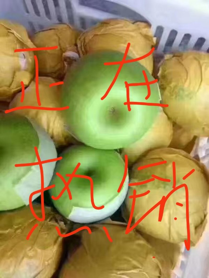 皇冠梨，套袋自然色，白皇冠梨产地直供，整车待发