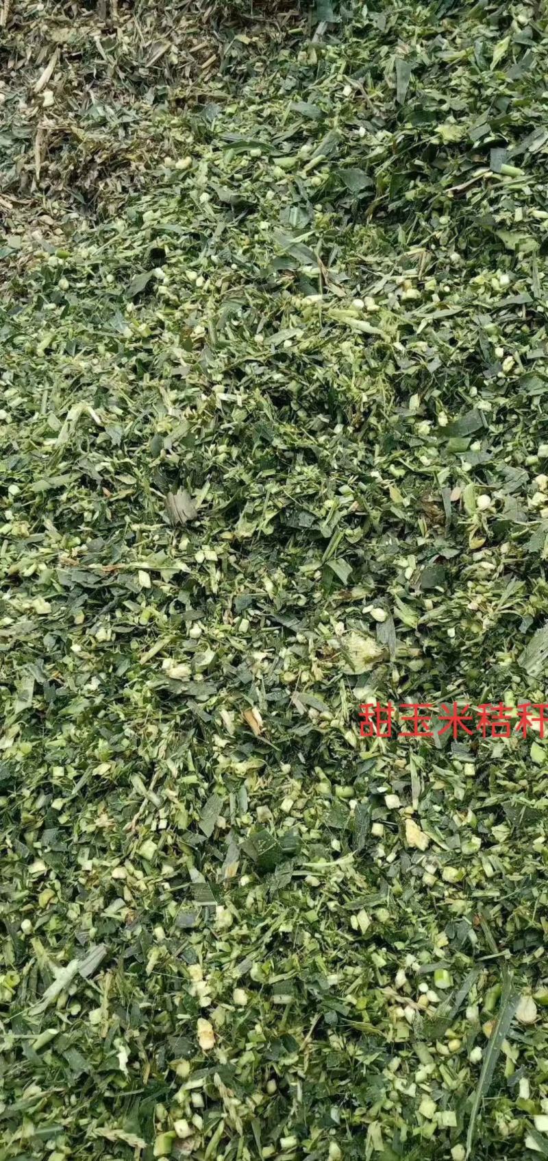 厂家批发玉米秸秆青储饲料袋装牛羊马植物性饲料