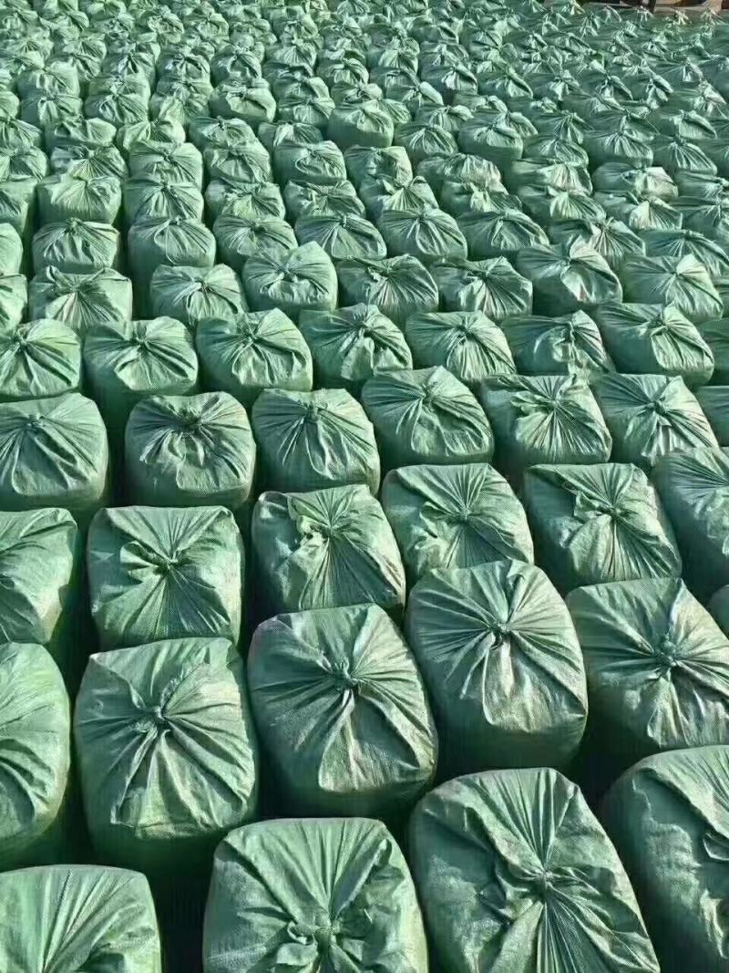厂家批发玉米秸秆青储饲料袋装牛羊马植物性饲料
