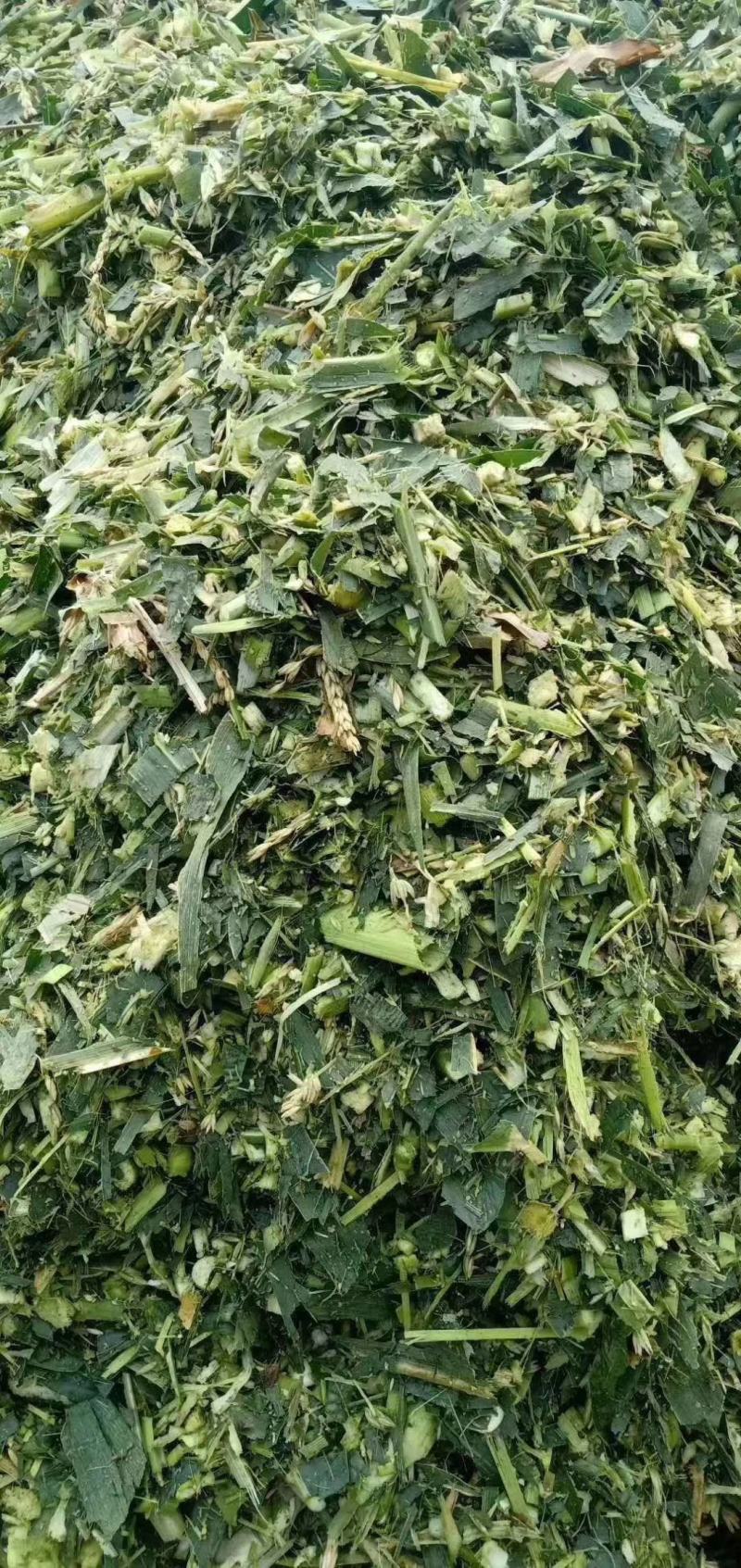 厂家批发玉米秸秆青储饲料袋装牛羊马植物性饲料