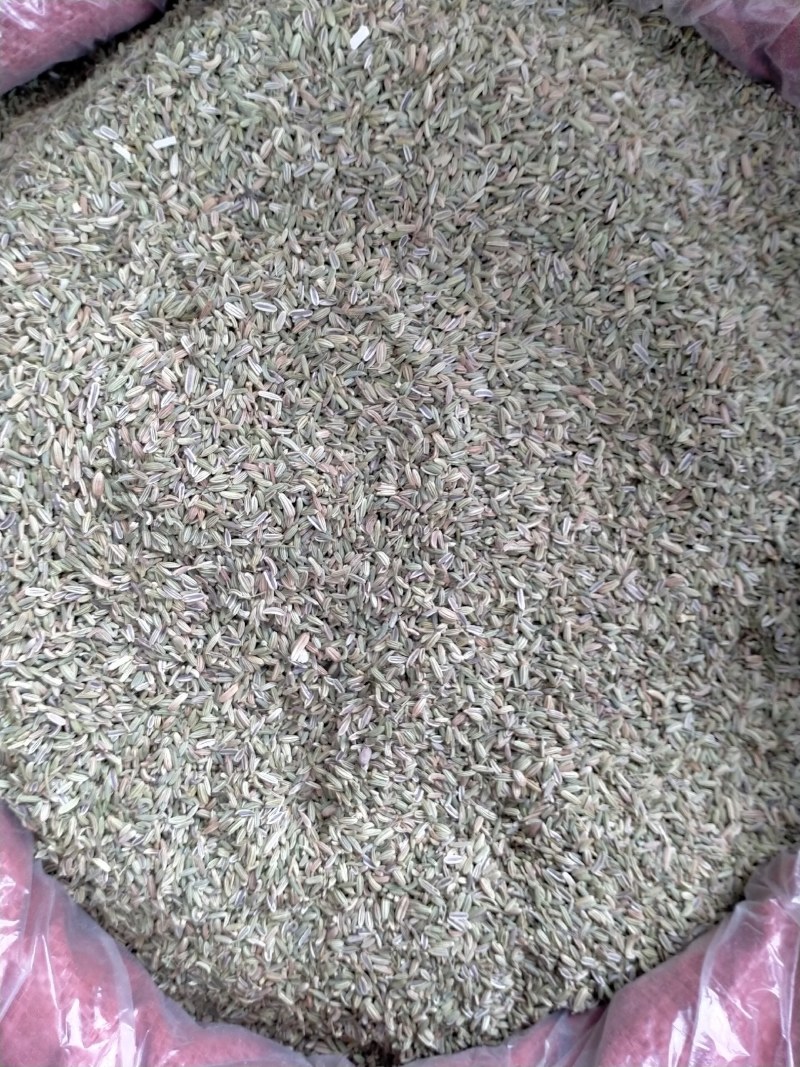 小茴香产地直供！一手货源大货批发价格优！