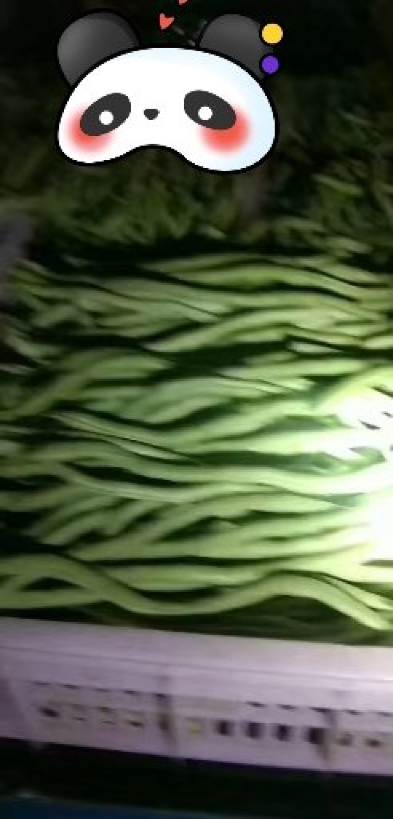 无丝豆！！！！！！！！！！！！！！！！！！！