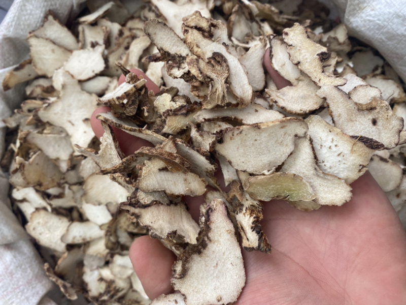 白芨批发各种大量中药材产地直销无中间商