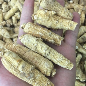 西洋参【大货批发】加拿大西洋参10-20克#浅花皮货精选
