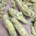 西洋参【大货批发】加拿大西洋参10-20克#浅花皮货精选