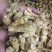 西洋参【大货批发】加拿大西洋参10-20克#浅花皮货精选