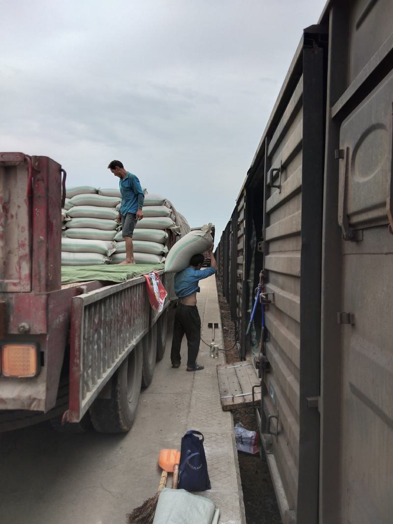 豌豆黑豌豆，量大价格代办火车运输，