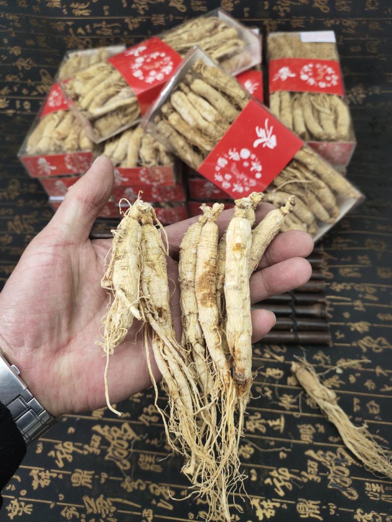 长白山人参白参全须生晒参残枝普通货产地批发量大从优