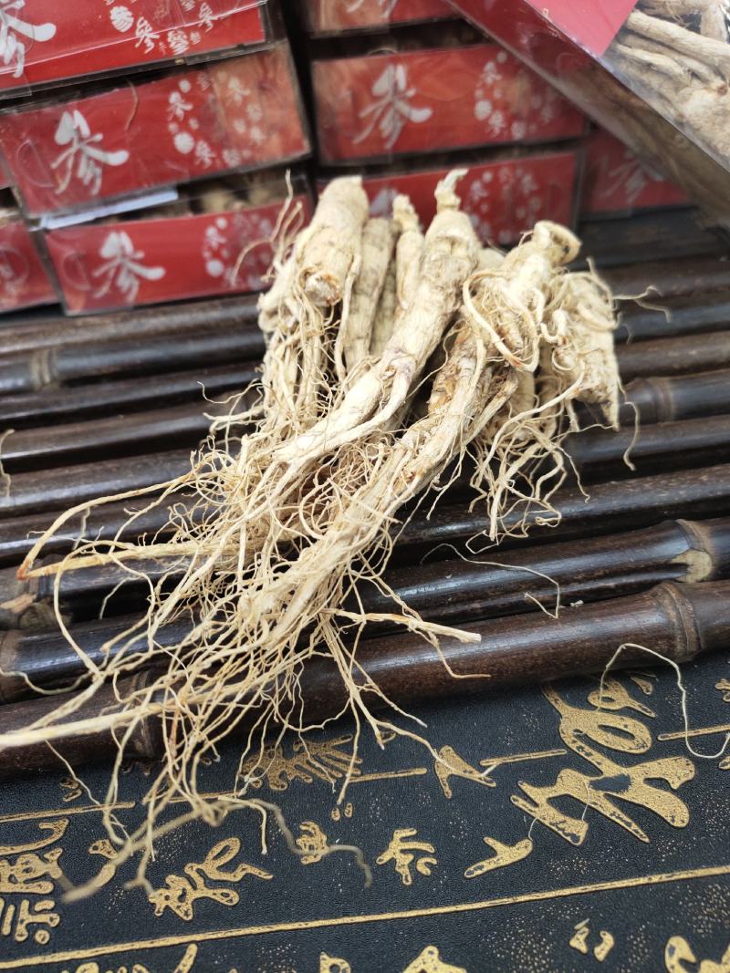 长白山人参白参全须生晒参残枝普通货产地批发量大从优