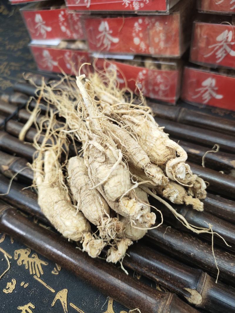 长白山人参白参全须生晒参残枝普通货产地批发量大从优