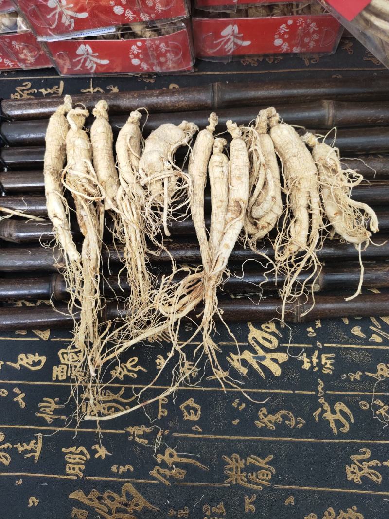 长白山人参白参全须生晒参残枝普通货产地批发量大从优
