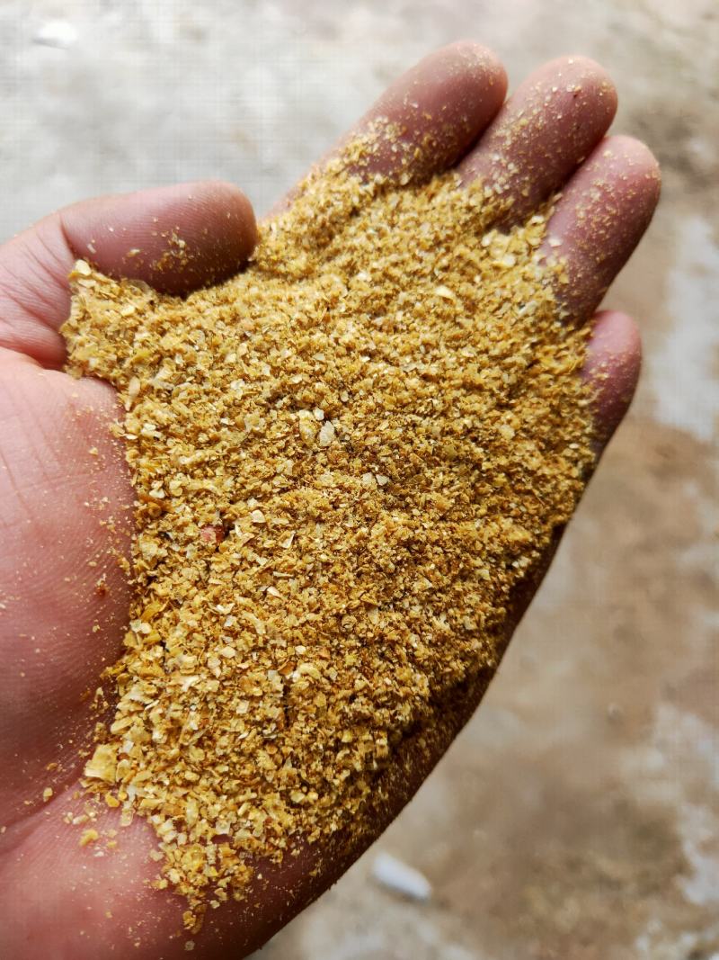 厂家直供精细加工喷浆玉米皮玉米皮饲料牛羊猪鸡鸭鹅育肥专业