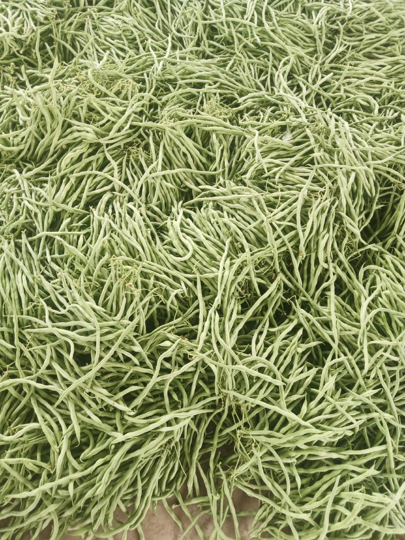 刚刚上市的豆角架豆王豆角20厘米以上