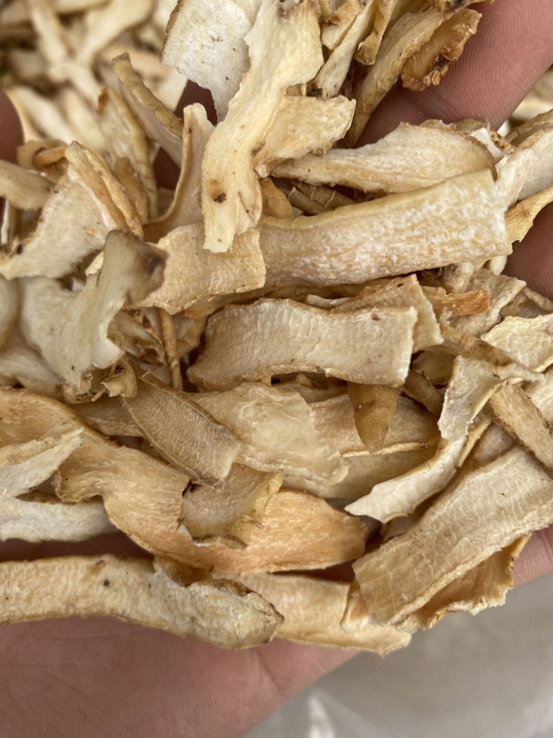 玉竹产地直销大货销量批发各种中药材