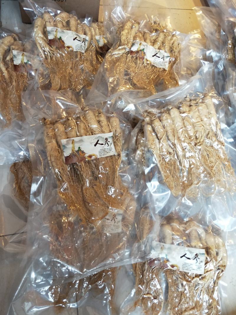 长白山白参各种规格，六年白参，大枝头，营养滋补，价格实惠