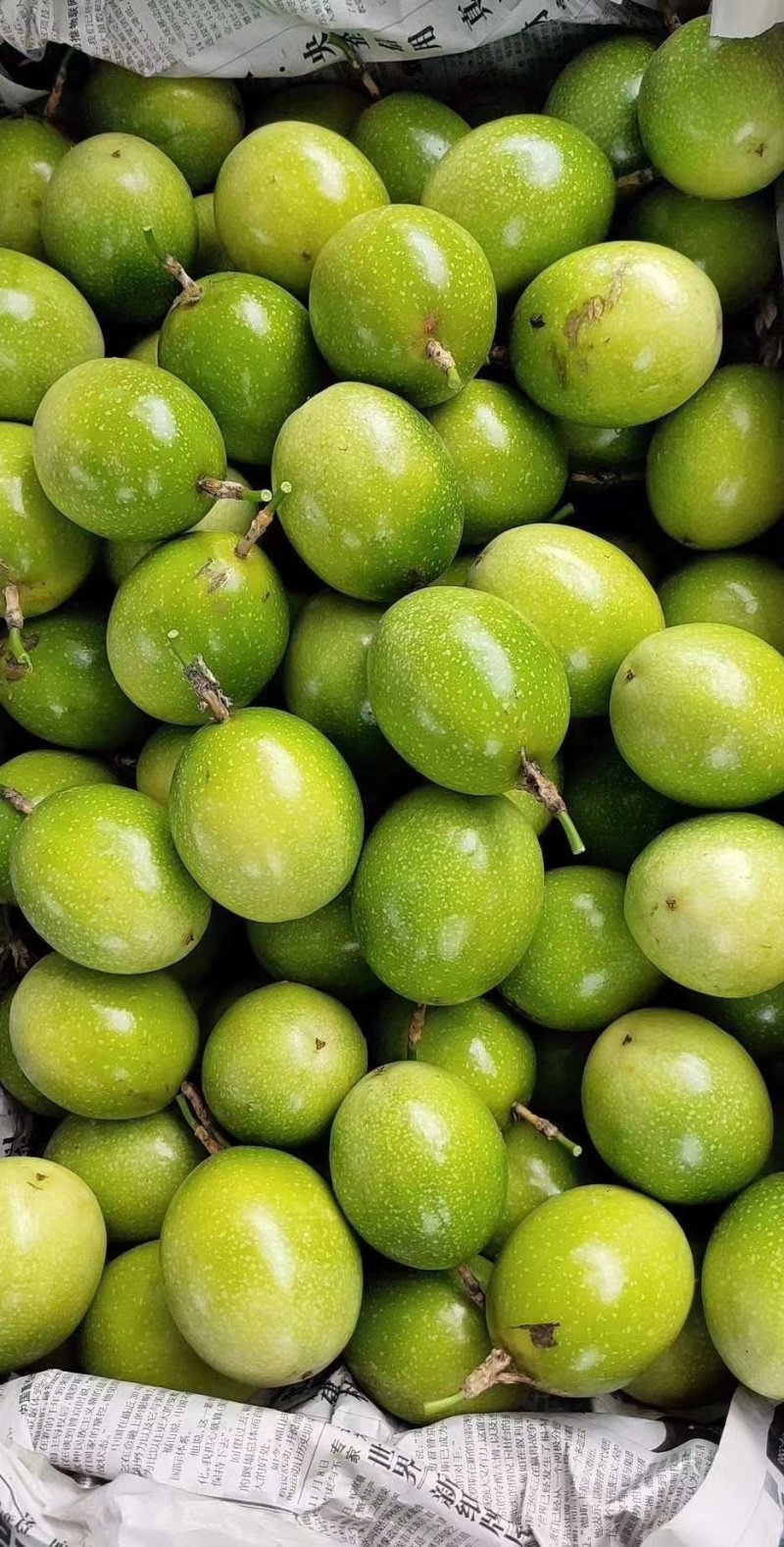黄金百香果，蜂蜜味黄金百香果，高品质黄金百香果