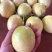 黄金百香果，蜂蜜味黄金百香果，高品质黄金百香果