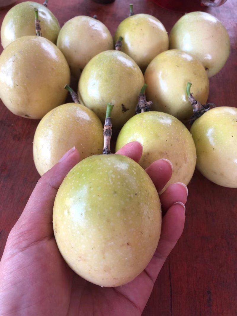 黄金百香果，蜂蜜味黄金百香果，高品质黄金百香果