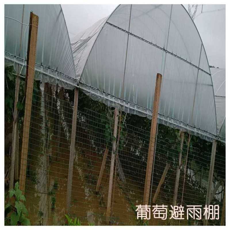 【复购高】蓝贵族大棚膜塑料薄膜长寿无滴膜葡萄专用膜