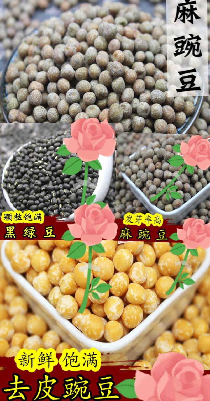 绿豆农家绿豆绿豆去皮绿豆熬粥绿豆汤5斤装包邮