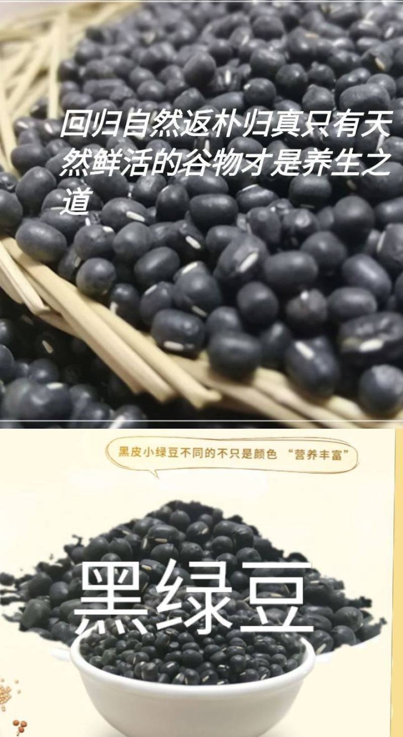 绿豆农家绿豆绿豆去皮绿豆熬粥绿豆汤5斤装包邮