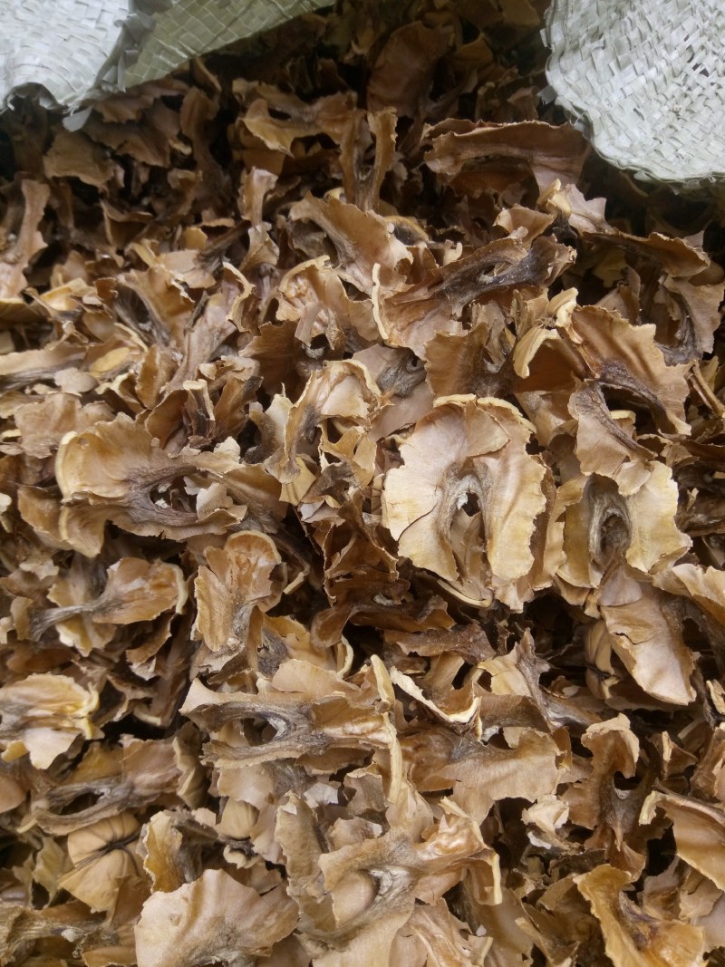 分心木，新疆核桃分心木，片大颜色好，量大优惠