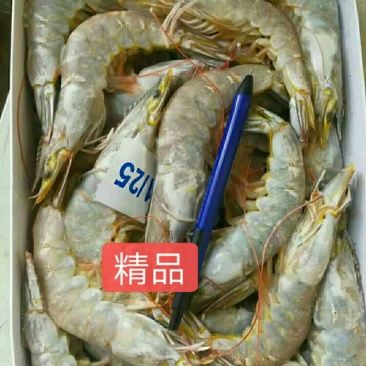 精品大青虾，去头虾，虾仁，国产大虾，价钱便宜，质量保障