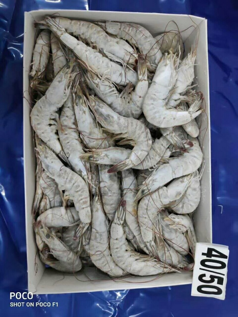 精品大青虾，去头虾，虾仁，国产大虾，价钱便宜，质量保障