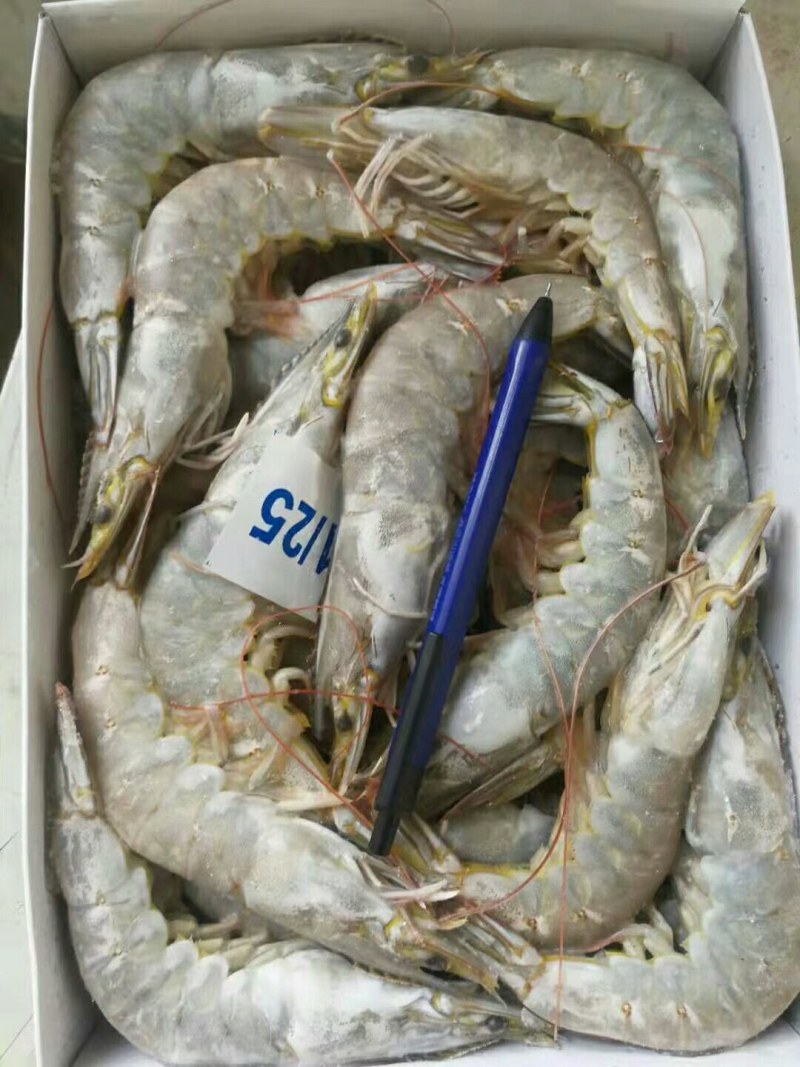 精品大青虾，去头虾，虾仁，国产大虾，价钱便宜，质量保障