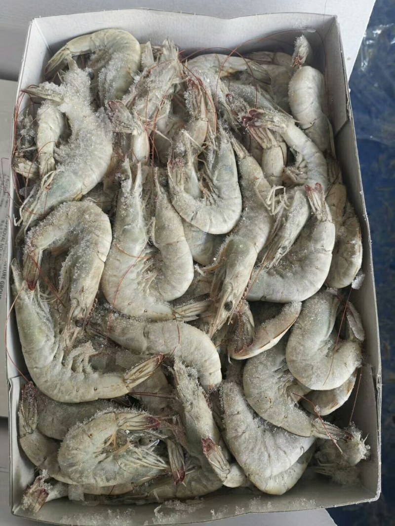 精品大青虾，去头虾，虾仁，国产大虾，价钱便宜，质量保障
