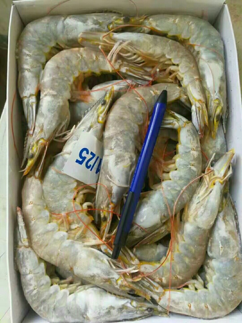 精品大青虾，去头虾，虾仁，国产大虾，价钱便宜，质量保障
