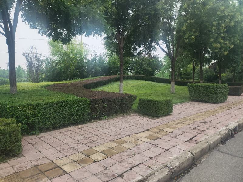红王子锦带装车现场锦带价格