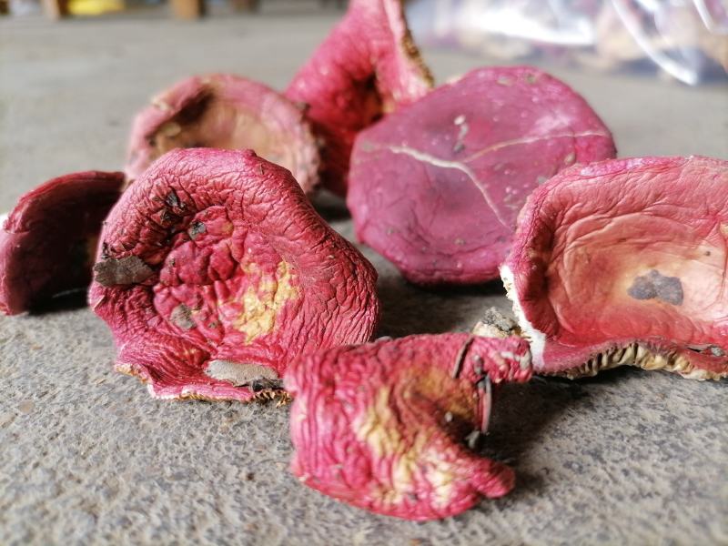 红菇上新货了，大量有货，包邮了（早中期货）