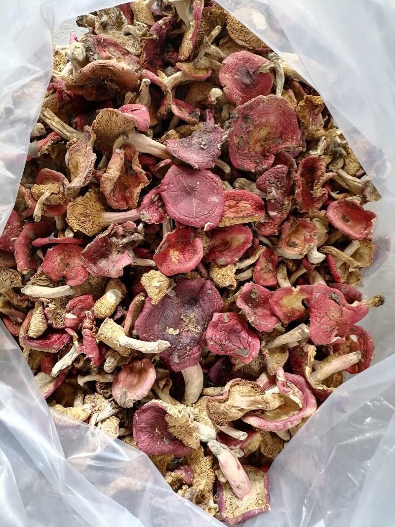 红菇上新货了，大量有货，包邮了（早中期货）
