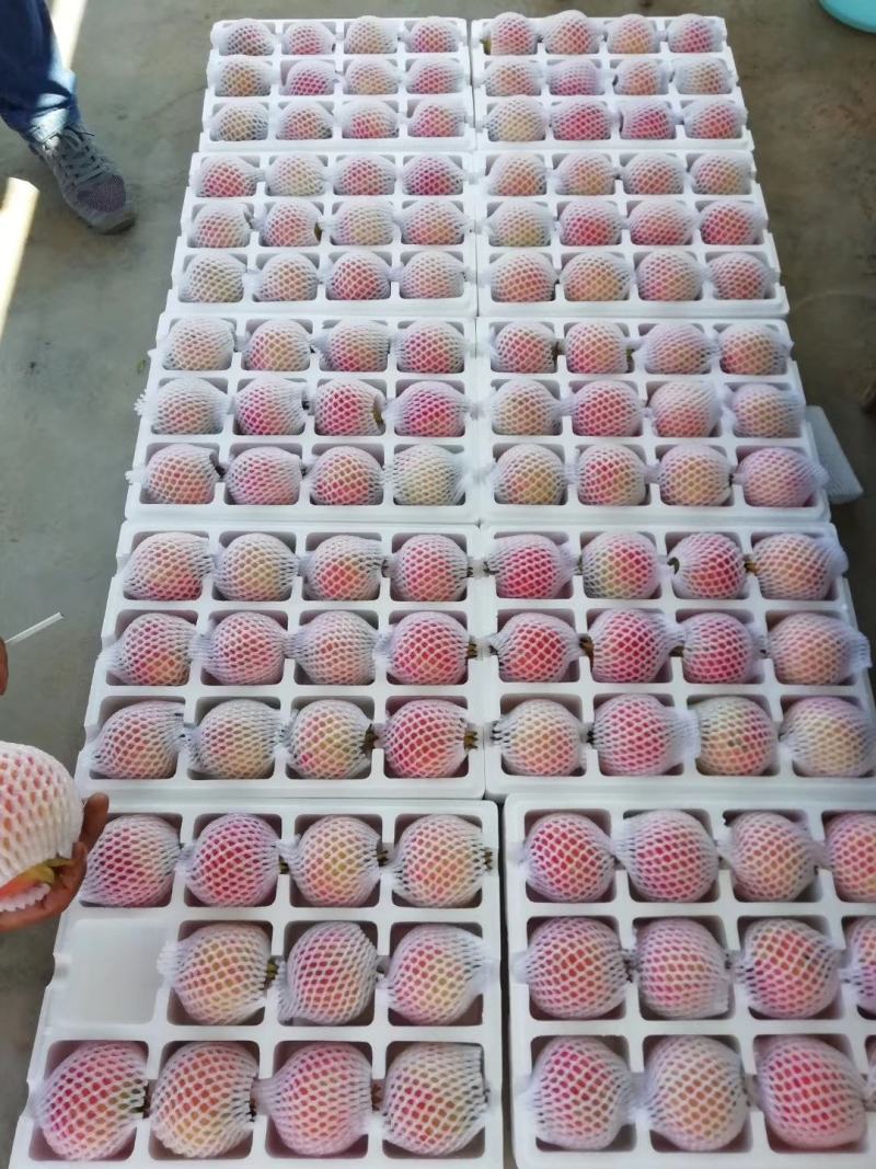 红心软籽石榴发源地，好果子，好品质，诚信，产地直发