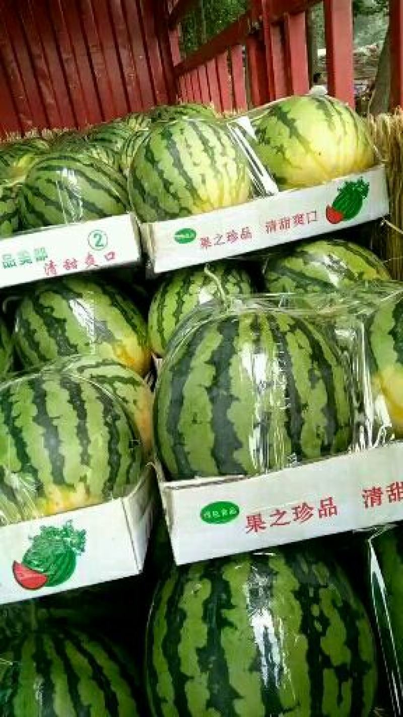 无籽西瓜，8斤起，资量保证，大量上市中。