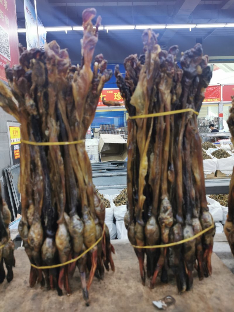 狗鞭泡酒必备狗鞭各种规格齐全