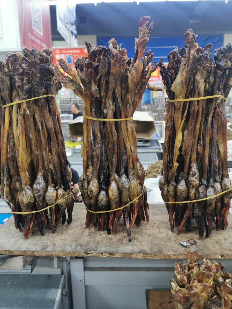 狗鞭泡酒必备狗鞭各种规格齐全