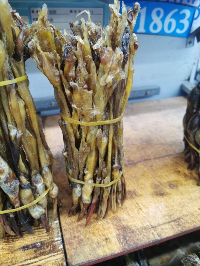 狗鞭泡酒必备狗鞭各种规格齐全