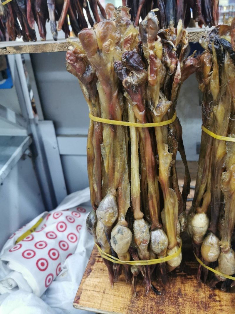 狗鞭泡酒必备狗鞭各种规格齐全