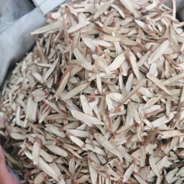 甘草片甘草斜片产地直销量大从优一手货源
