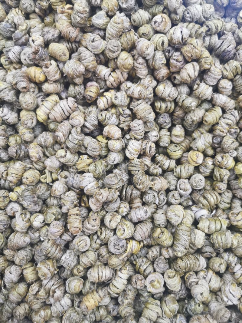 石斛枫斗石斛产地直销量大从优一手货源