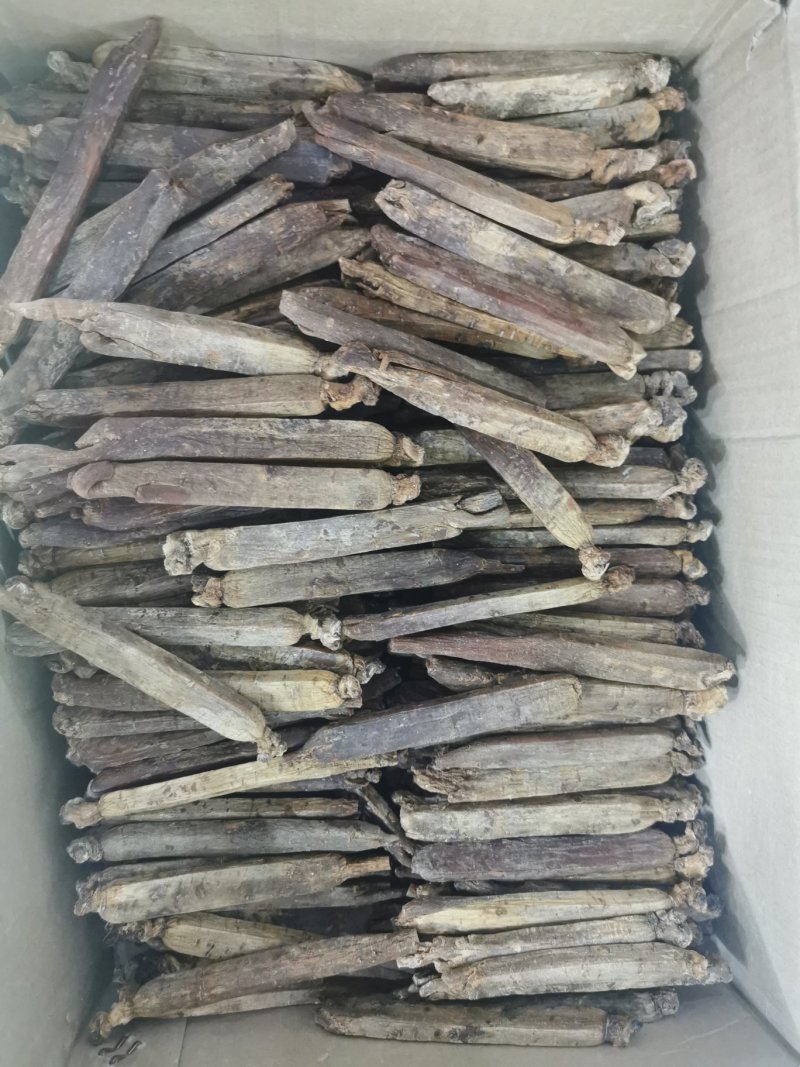 高丽参多种规格批发价格量大从优