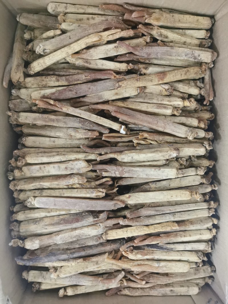 高丽参多种规格批发价格量大从优