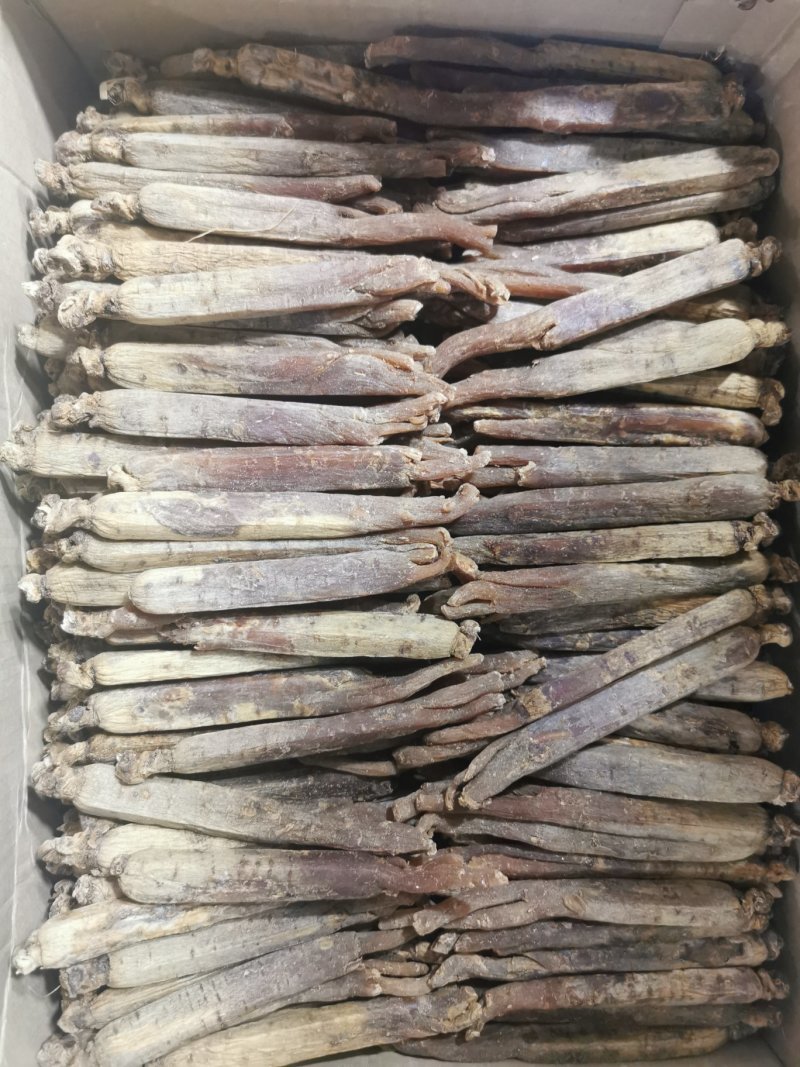 高丽参多种规格批发价格量大从优